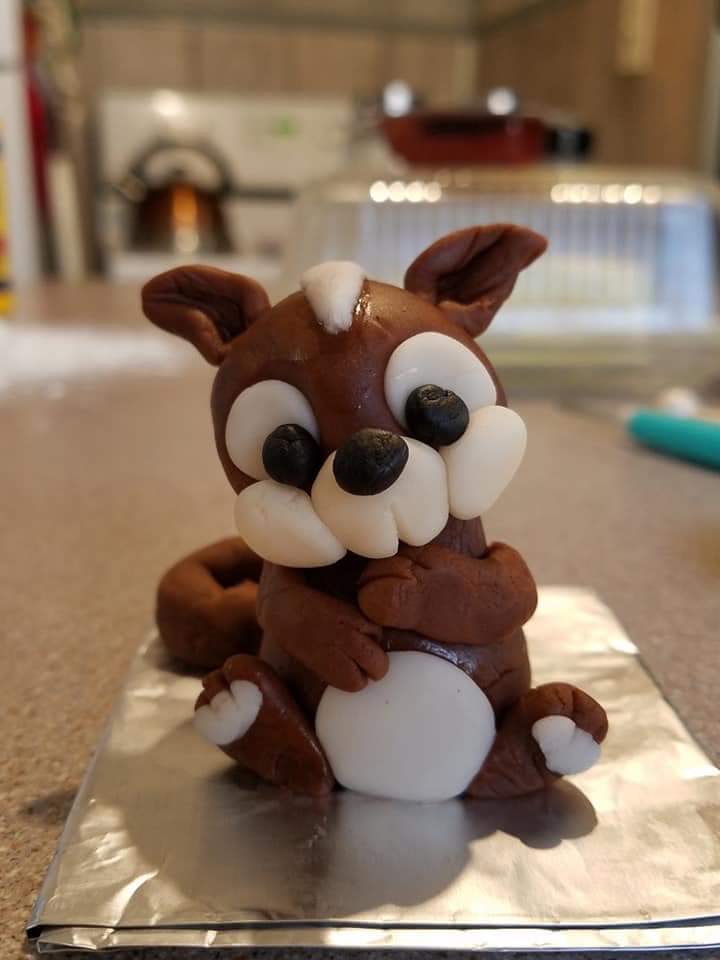 squirrel